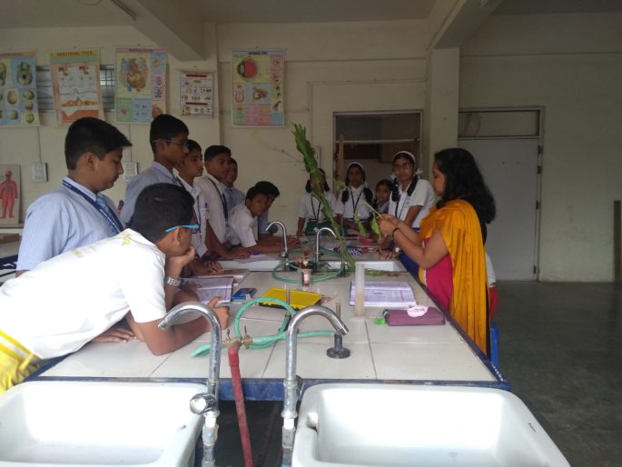 ABOUT SCHOOL – Abhinav English School (CBSE)